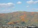 Poppies and goldfields atop Mt. Estelle overlooking my 'hood 3/13/2019
