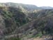Burn Canyon from last August Holy Fire greening nicely 3/13/2019