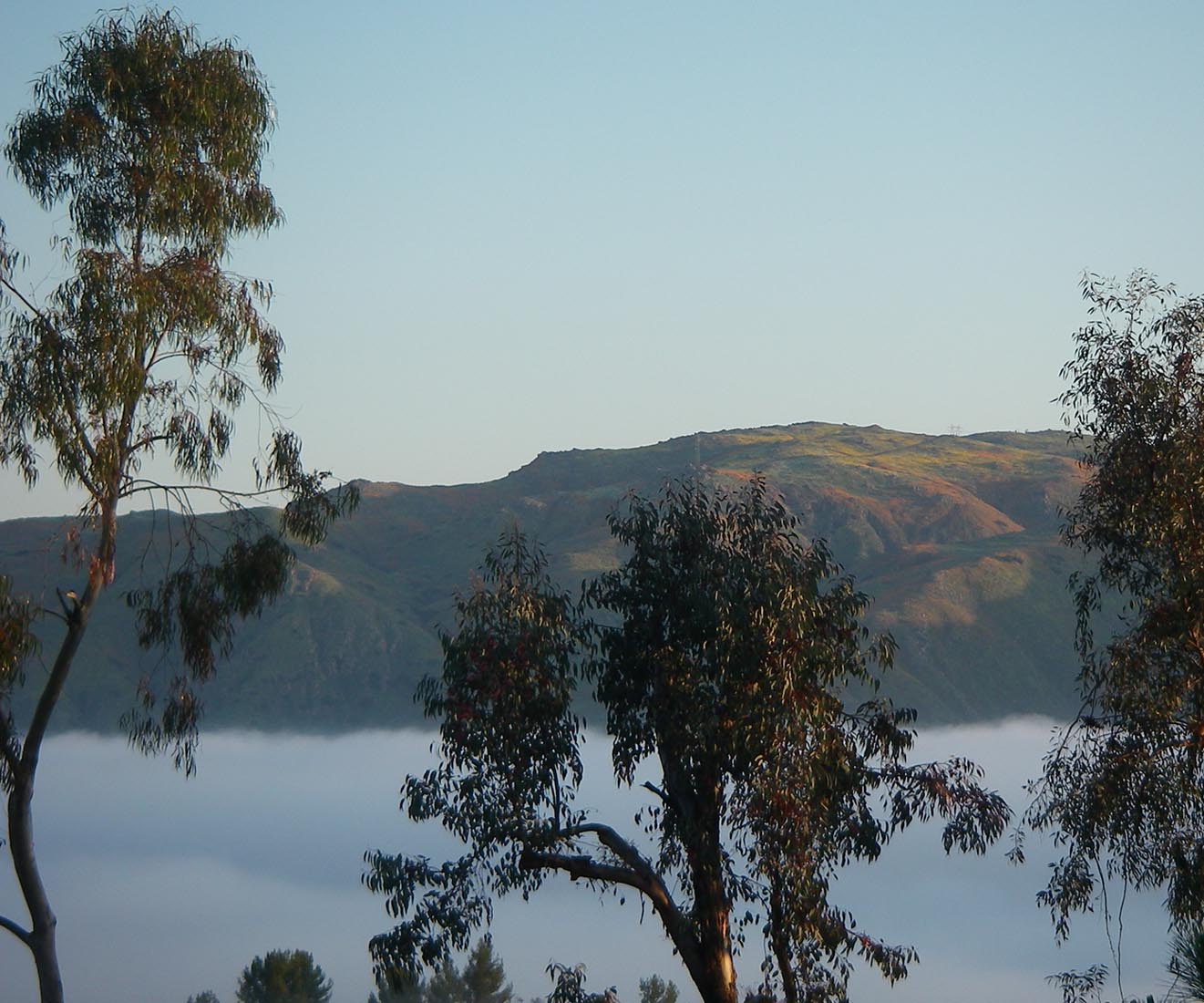 Early morning light hitting the wildflower fields of Mt. Estelle with fog river flowing through Temescal Valley 3/24/2019