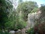 One of the creeks behind Lake Sliverwood 5/27/2019