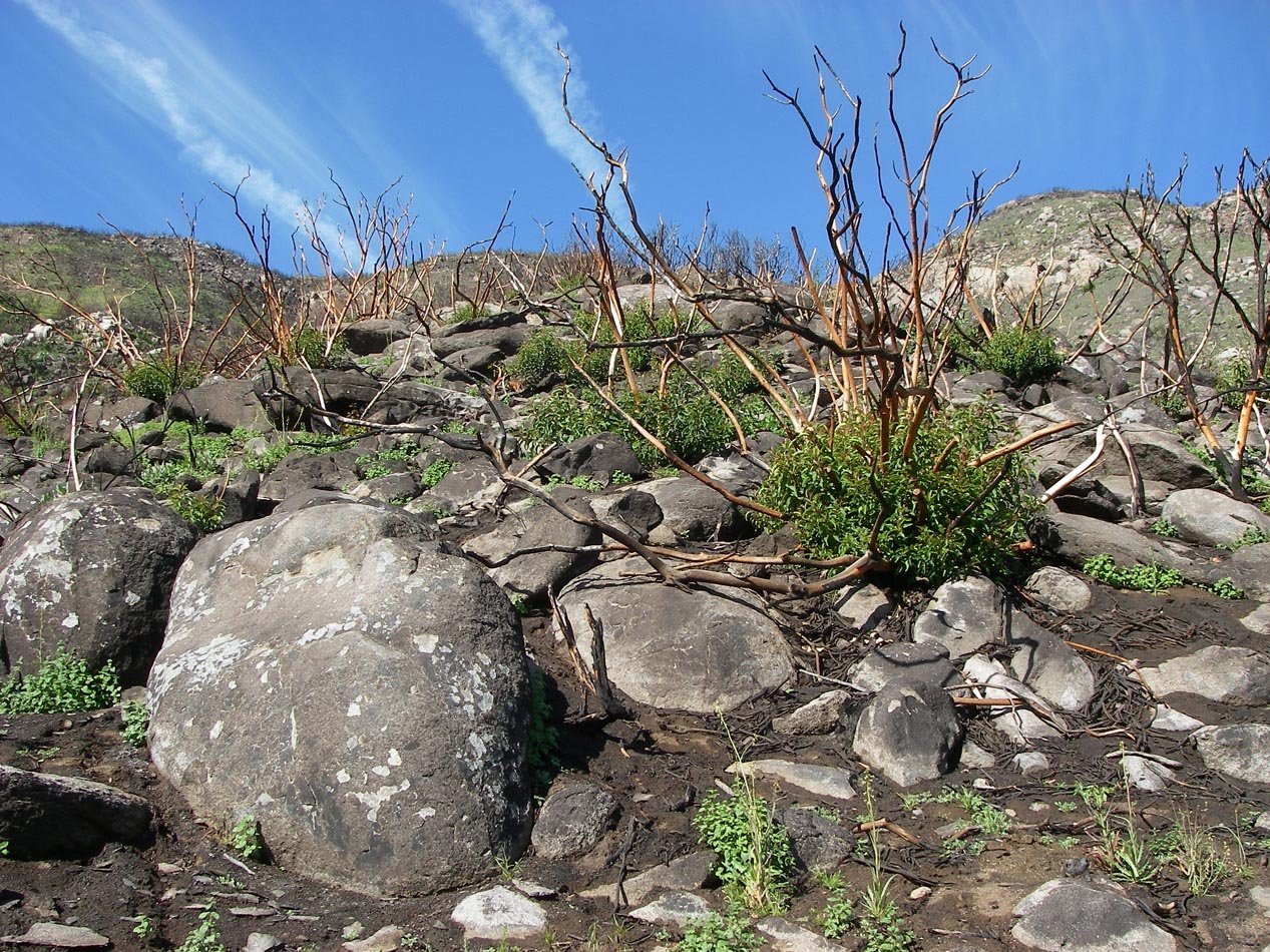 imgp8765.jpg