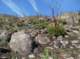 imgp8765_small.jpg