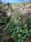 imgp8771_small.jpg