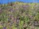 imgp8773_small.jpg