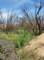 imgp8778_small.jpg