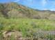 imgp8779_small.jpg