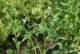 imgp8781_small.jpg