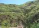 imgp8786_small.jpg