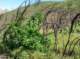 imgp8790_small.jpg