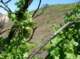 imgp8792_small.jpg