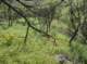 imgp8793_small.jpg