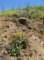 imgp8796_small.jpg