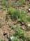imgp8797_small.jpg