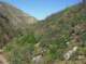 imgp8801_small.jpg