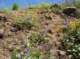 imgp8802_small.jpg