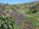 imgp8805_small.jpg