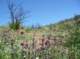 imgp8806_small.jpg