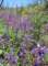 imgp8807_small.jpg