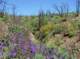 imgp8809_small.jpg