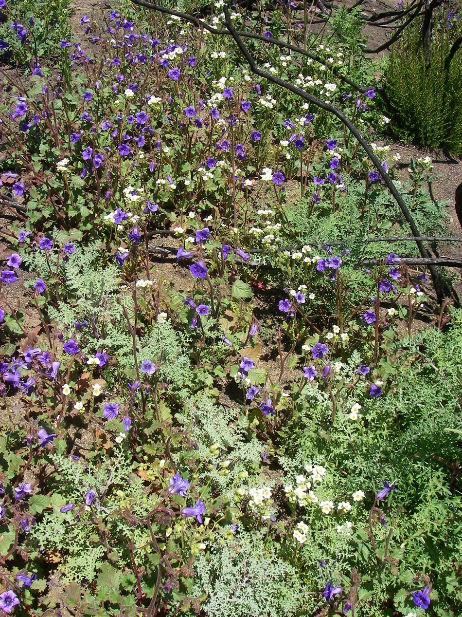 imgp8810.jpg