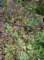 imgp8810_small.jpg