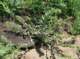 imgp8812_small.jpg