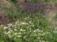 imgp8814_small.jpg