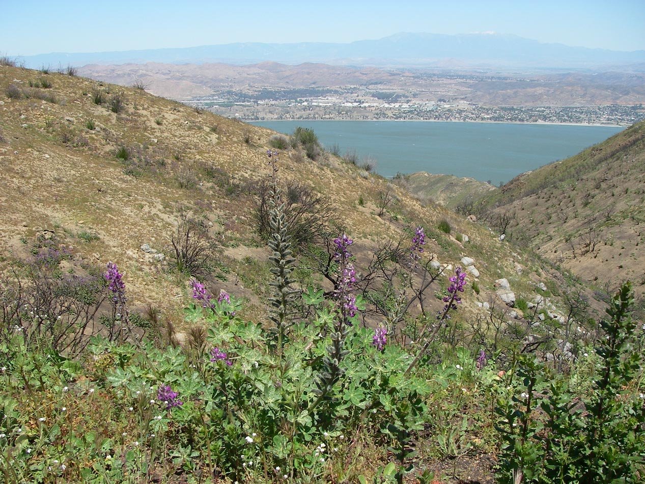 imgp8815.jpg