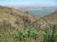 imgp8815_small.jpg