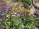 imgp8817_small.jpg