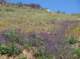 imgp8818_small.jpg
