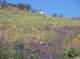 imgp8820_small.jpg