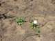 imgp8821_small.jpg