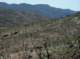 imgp8825_small.jpg