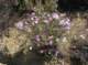 imgp8827_small.jpg
