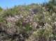 imgp8828_small.jpg