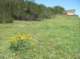 imgp8829_small.jpg