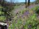 imgp8830_small.jpg