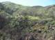 imgp8831_small.jpg