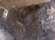 imgp8841_small.jpg
