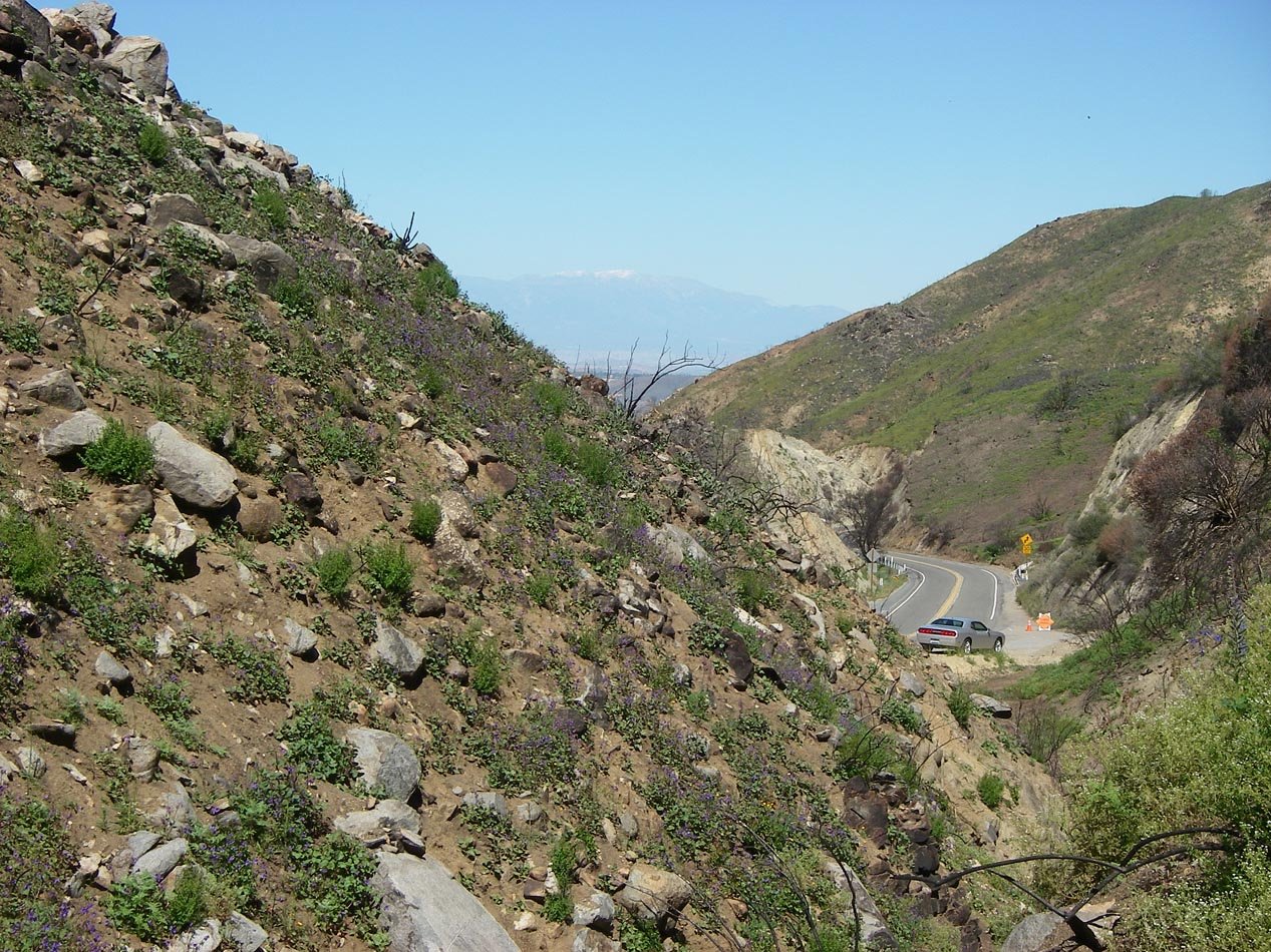 imgp8842.jpg