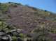 imgp8844_small.jpg