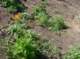 imgp8847_small.jpg