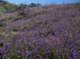 imgp8848_small.jpg