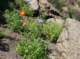 imgp8849_small.jpg