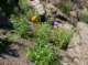 imgp8850_small.jpg