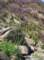imgp8858_small.jpg