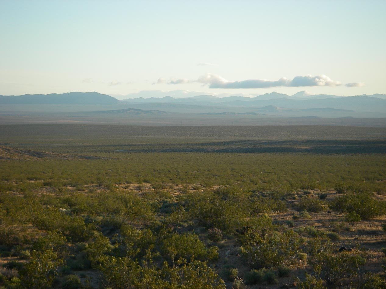 imgp0507.jpg