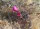 imgp0519_small.jpg