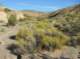 imgp0520_small.jpg